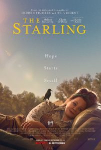 Der Vogel The Starling Netflix