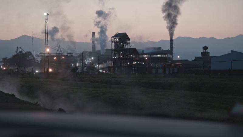 Corporate Accountability