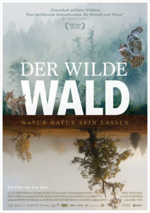 Der wilde Wald Natur Natur sein lassen