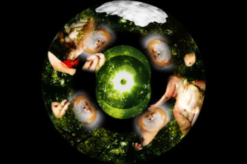 White Sands Crystal Foxes