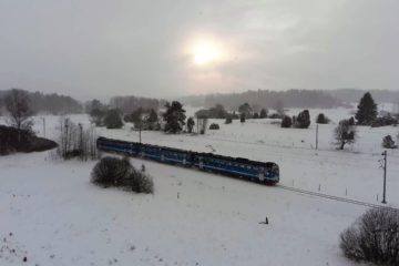 Dem Leben entgegen – Kindertransporte nach Schweden