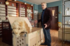 Freundschaft auf den zweiten Blick Das Erste ARD TV Fernsehen Mediathek