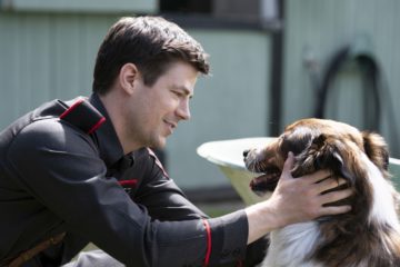 Rettungshund Ruby Rescued by Ruby Netflix