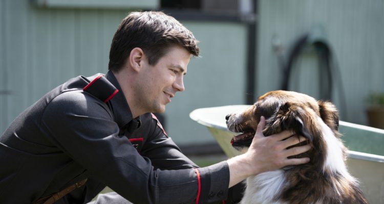 Rettungshund Ruby Rescued by Ruby Netflix