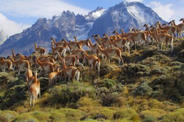 Unsere wunderbaren Nationalparks Our Great National Parks Netflix Barack Obama