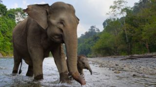 Unsere wunderbaren Nationalparks Our Great National Parks Netflix Barack Obama