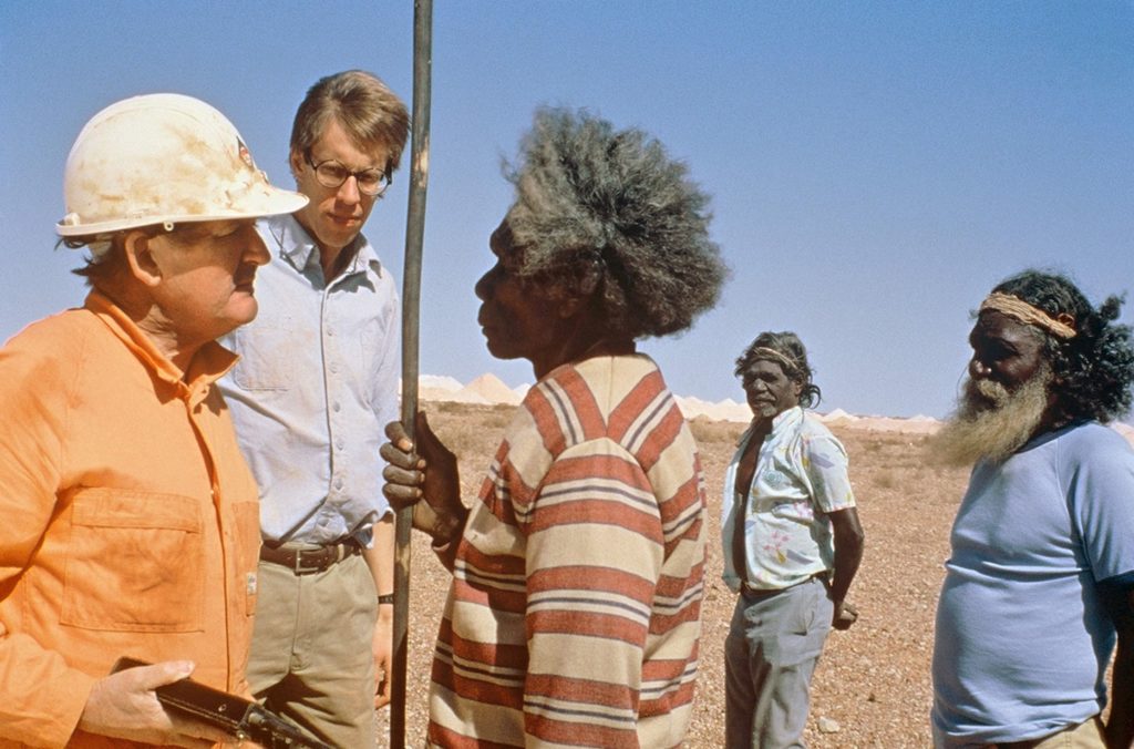 wo die grünen ameisen träumen inhalt