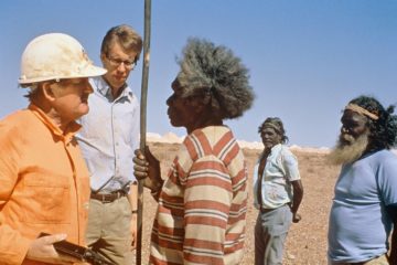 Wo die grünen Ameisen träumen