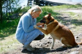 Mord im Mittsommer: In guten wie in schlechten Zeiten TV Fernsehen ZDF arte Mediathek