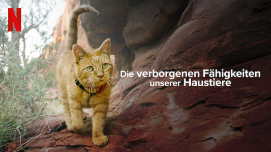 Netflix The Hidden Lives of Pets Die verborgenen Fähigkeiten unserer Haustiere