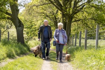 23 Walks Mit Herz und Hund