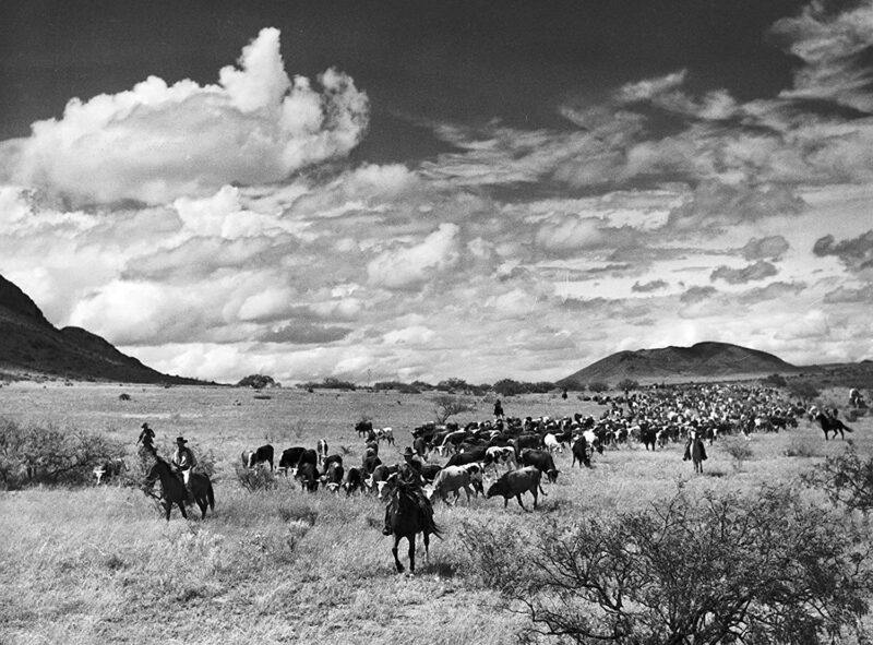 Red River Szene 6 FilmRezensionen.de