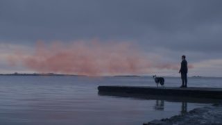 A Nuvem Rosa The Pink Cloud