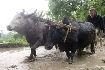 Namaste Himalaya – Wie ein Dorf in Nepal uns die Welt öffnete