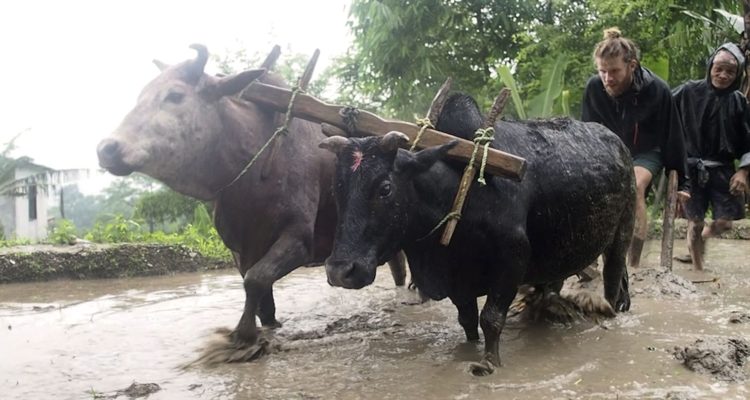 Namaste Himalaya – Wie ein Dorf in Nepal uns die Welt öffnete
