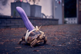 Vierwändeplus Tv Fernsehen ZDFneo Mediathek