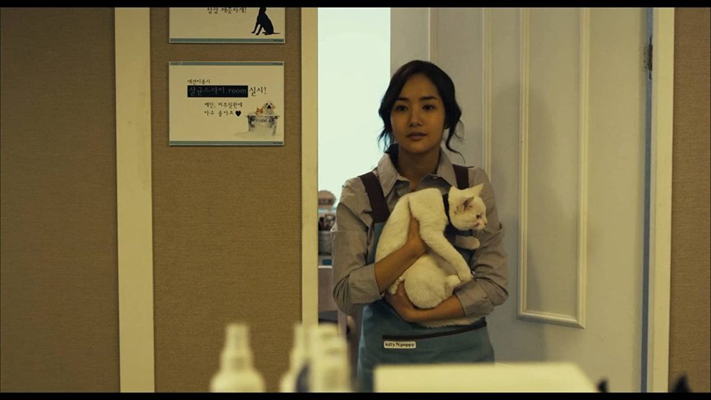The Cat Film Rezensionen de The Cat Film Rezensionen de