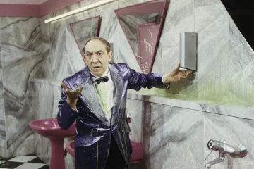 Die Didi Show