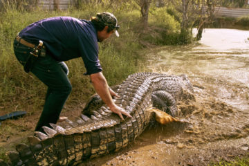 Wild Croc Territory