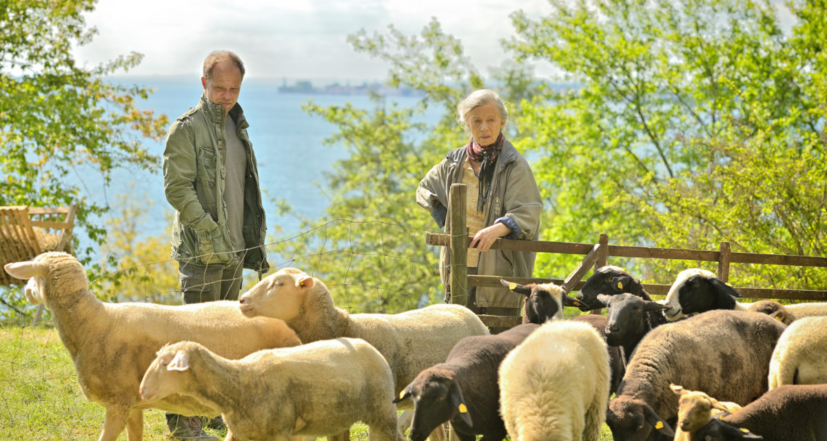 die toten vom bodensee staffel 3 folge 6