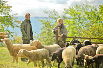 Die Toten vom Bodensee - Unter Wölfen TV Fernsehen ZDF Mediathek DVD