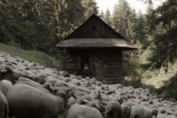 Svetlonoc Nightsiren