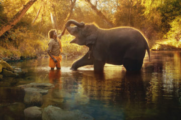 Die Elefantenflüsterer The Elephant Whisperer Netflix