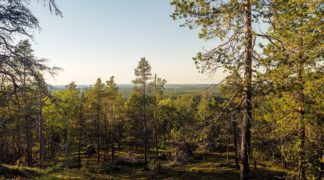 Tics – Mit Tourette nach Lappland