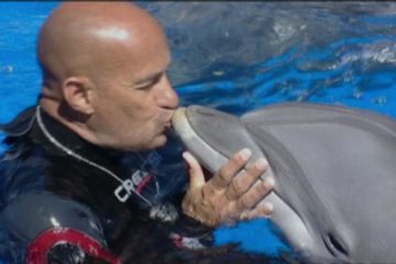 ¿Qué le pasó al rey de los delfines? Was geschah mit dem Delfin König Netflix