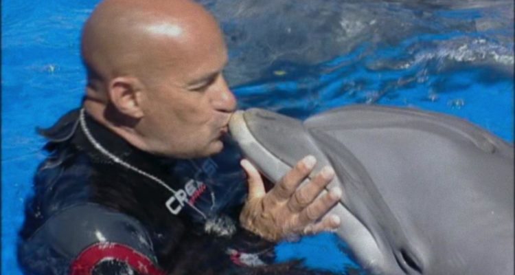¿Qué le pasó al rey de los delfines? Was geschah mit dem Delfin König Netflix