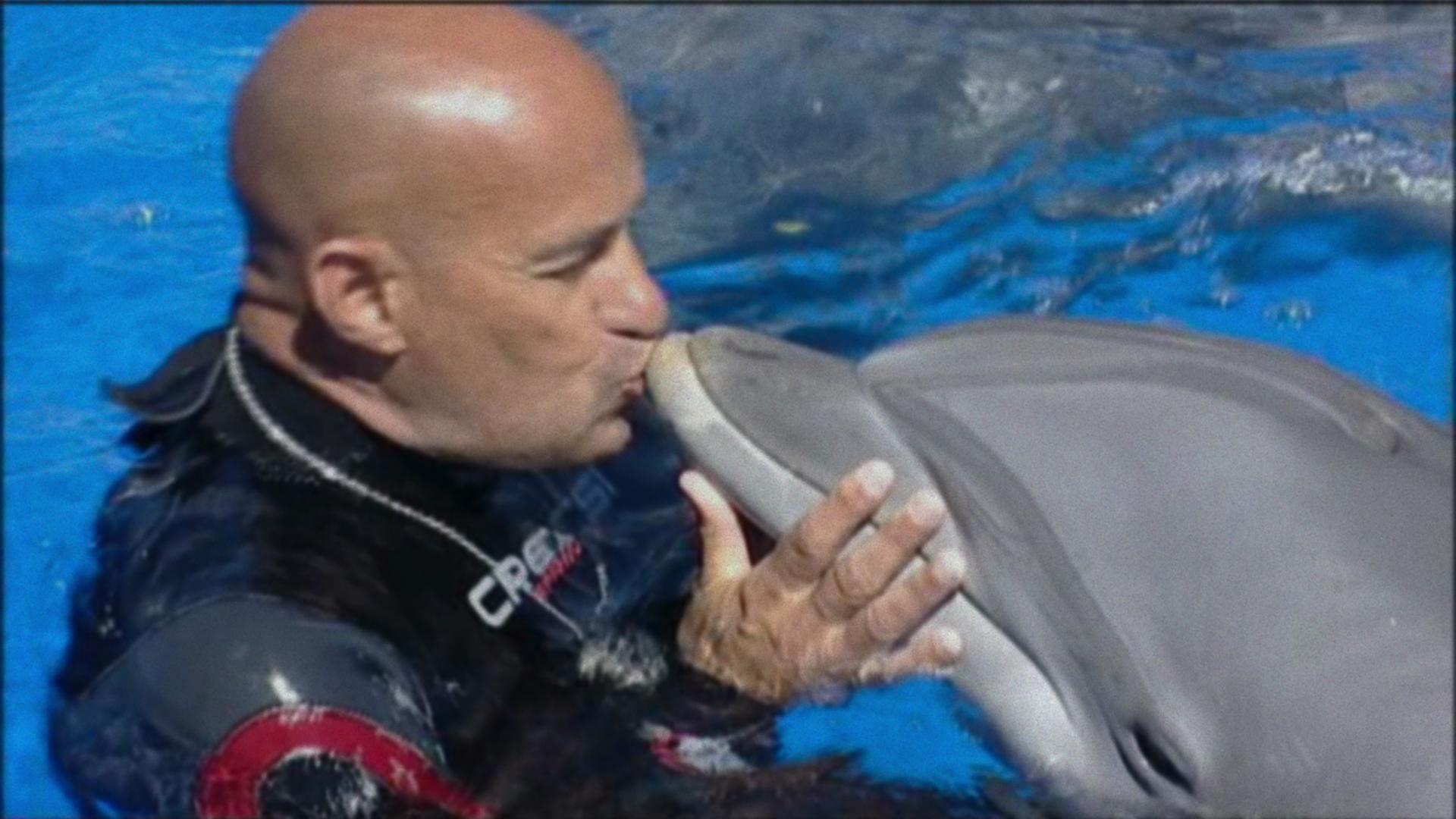 Was Geschah Mit Dem Delfin König Was geschah mit dem Delfin-König? | Film-Rezensionen.de