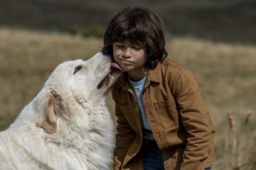 Belle und Sebastian Ein Sommer voller Abenteuer Nouvelle génération