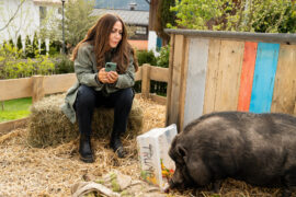 Frühling - Kleiner Engel, kleiner Teufel TV Fernsehen ZDF Mediathek Herzkino