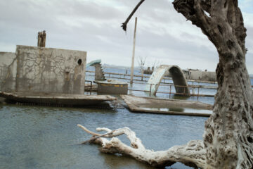 Schlachthäuser der Moderne