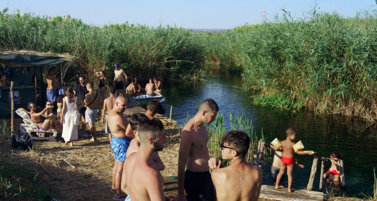 Tara FilmRezensionen.de