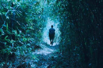 The Dust of Modern Life