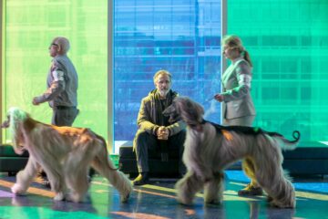 Absturz ins Leben La Nouvelle vie de Paul Sneijder TV Fernsehen arte Stream Mediathek DVD