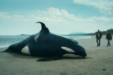 Der Schwarm TV Fernsehen ZDF Streaming Mediathek DVD