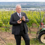 Der Staatsanwalt: Wein und Mord TV Fernsehen ZDF Mediathek