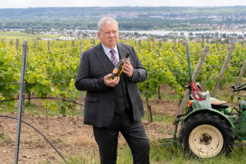 Der Staatsanwalt: Wein und Mord TV Fernsehen ZDF Mediathek