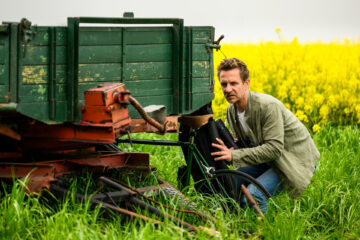 Friesland - Artenvielfalt TV Fernsehen ZDF Streaming Mediathek