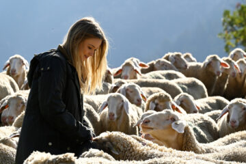 Frühling - Lauf weg, wenn Du kannst TV Fernsehen ZDF Stream Mediathek DVD Herzkino