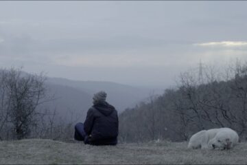 Bürgermeister, Schäfer, Witwe, Drache Mayor, Shepherd, Widow, Dragon