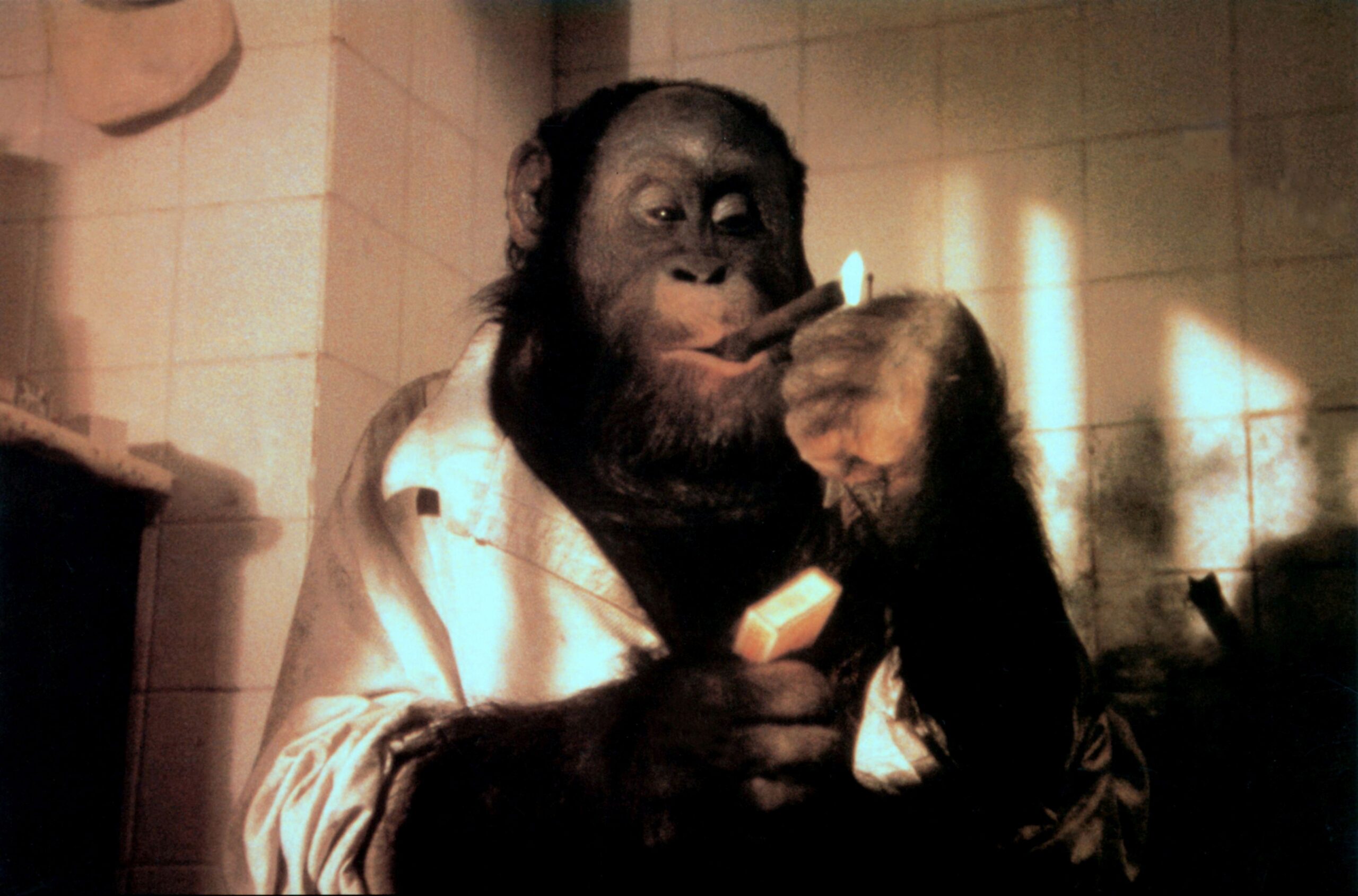 Link, der Butler | Film-Rezensionen.de