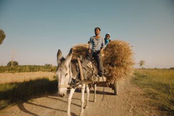 Return to Dust Yin ru chen yan