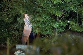 Le test Madame Annie und ihre Familie