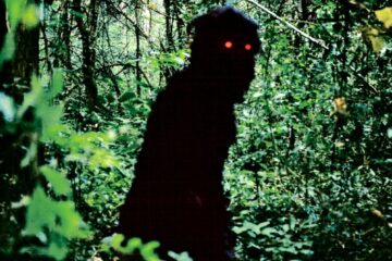 Uncle Boonmee erinnert sich an seine früheren Leben