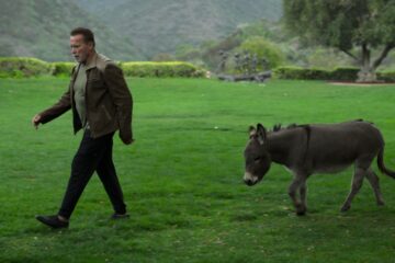 Arnold Schwarzenegger Netflix Streamen online Serie Dokumentation