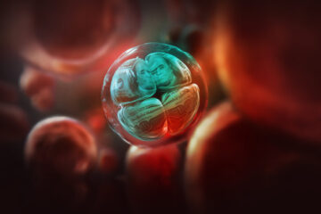 Dr. Hwang Woo suk König der Klone King of Clones Netflix