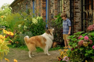 Lassie Ein neues Abenteuer